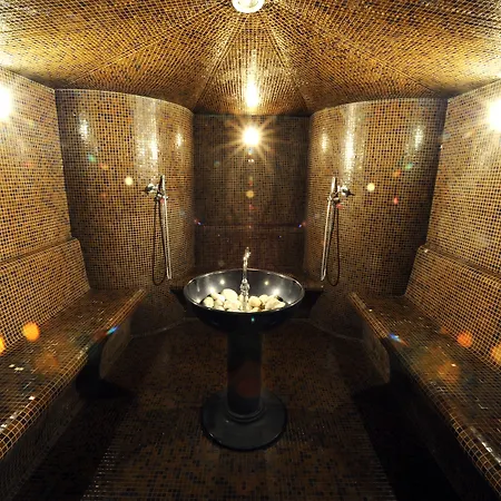 ホテル Allegroitalia Golden Palace 5*